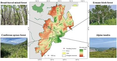 Differential distribution patterns and assembly processes of soil microbial communities under contrasting vegetation types at distinctive altitudes in the Changbai Mountain